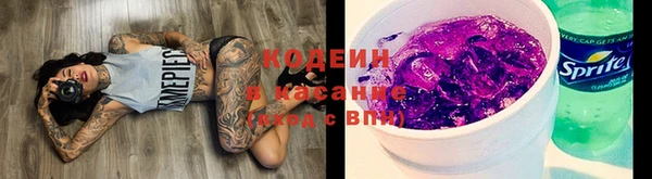 индика Карпинск