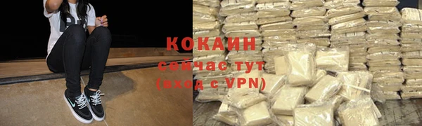 индика Карпинск
