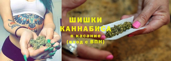 индика Карпинск