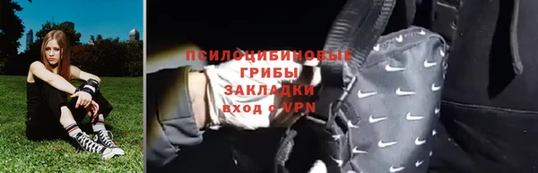 дмт Касимов