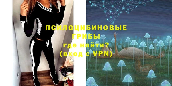 индика Карпинск